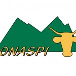 conaspi