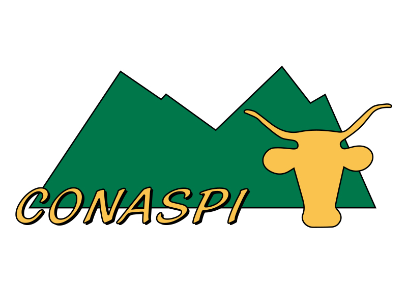 conaspi