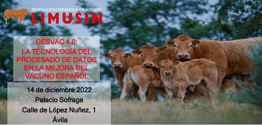 Presentación de PowerPoint