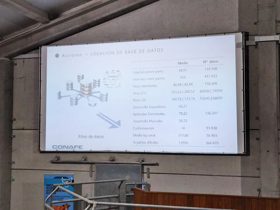 La tecnología del procesado de datos en la mejora del Vacuno