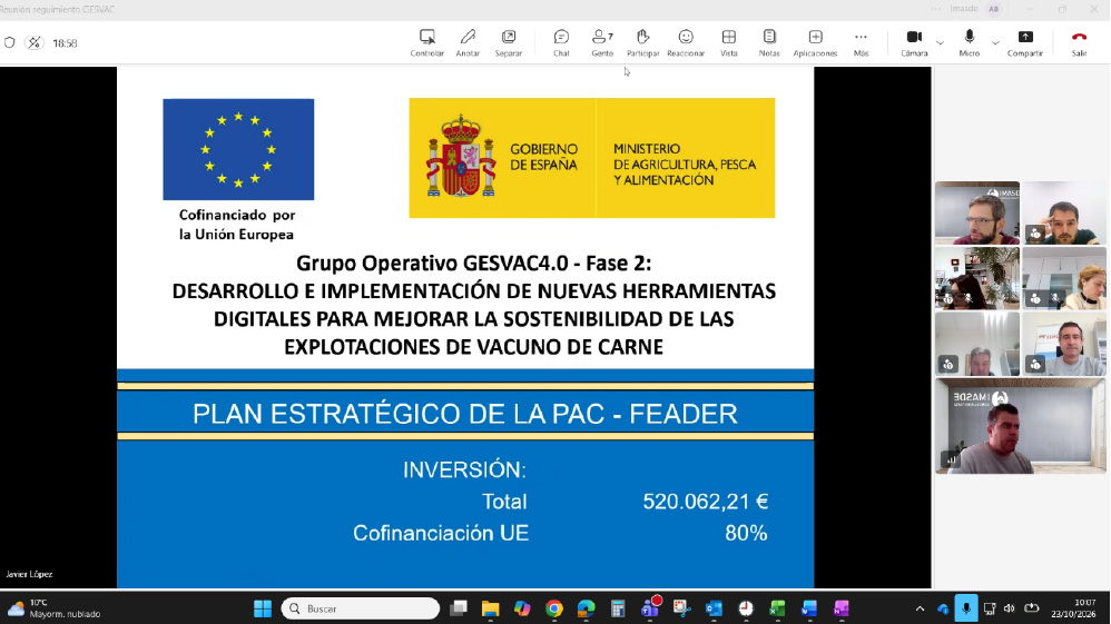 gesvac - cuarta reunión de seguimiento del segundo periodo del proyecto